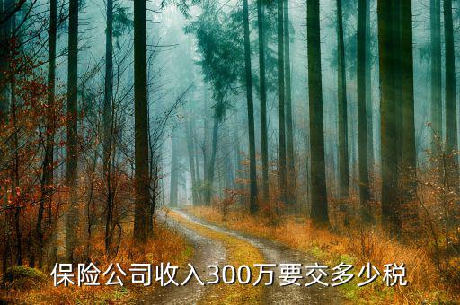 保險代理公司交什么稅，保險公司收入300萬要交多少稅