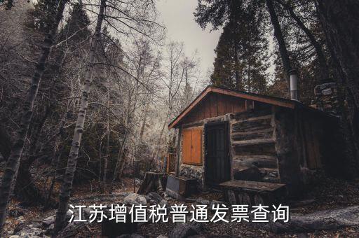 江蘇國稅網(wǎng)站運行的環(huán)境是什么，江蘇國稅徐州網(wǎng)站怎么上不去