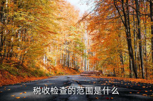 在地稅局需要檢查什么地方，稅務(wù)年檢是什么地方的來檢查