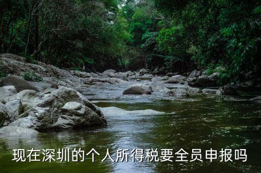 深圳為什么要個(gè)稅申報(bào)，外地企業(yè)如何在深圳為什么還要繳納個(gè)人所得稅1