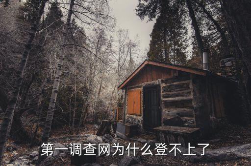稅收調(diào)查為什么登陸不進(jìn)去，為什么北京地稅局納稅申報(bào)登陸不了