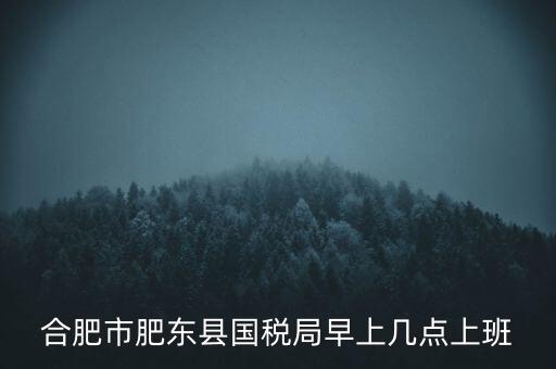 安徽國稅什么時(shí)候上班時(shí)間，國稅局的上班時(shí)間