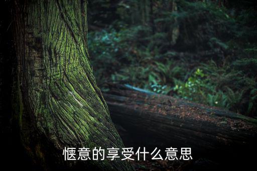 應(yīng)享盡享什么意思，愜意的享受什么意思