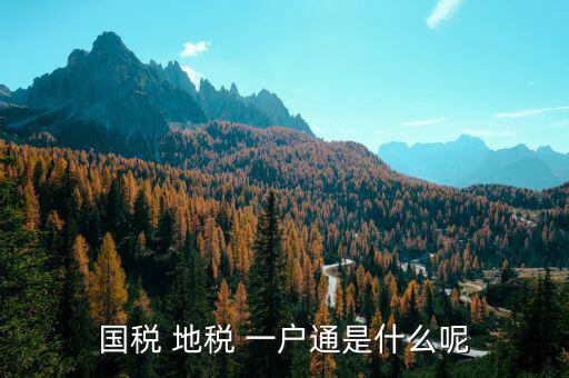 稅務(wù)通有什么用，國稅 地稅 一戶通是什么呢