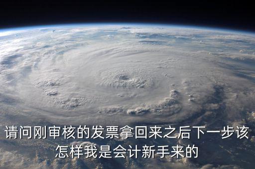 發(fā)票核定完之后接下來做什么，請問剛審核的發(fā)票拿回來之后下一步該怎樣我是會計新手來的