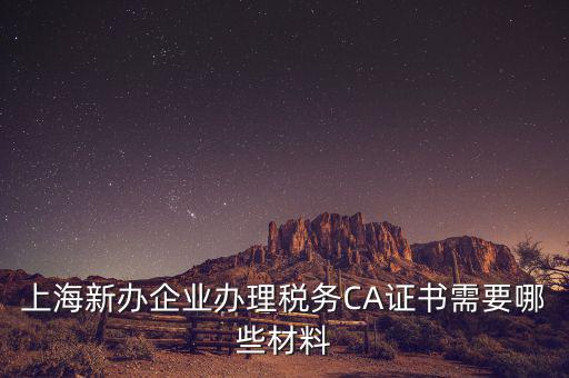 2014年7月份上海稅務(wù)局還需要審什么證，上海新辦企業(yè)辦理稅務(wù)CA證書(shū)需要哪些材料