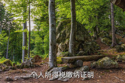 個(gè)人稅務(wù)證明是什么，什么是個(gè)人納稅證明