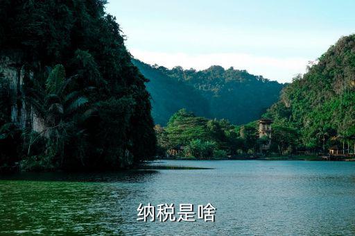 什么叫納稅，什么是納稅 六年級數(shù)學