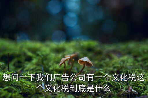 什么是稅務(wù)文化，和諧地稅文化的內(nèi)涵應(yīng)包括哪些方面