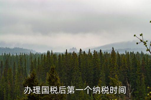 報稅后什么時候交稅，辦理國稅后第一個納稅時間