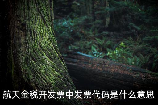增值稅的航天編碼是什么，航天金稅 自動開票 怎么獲取 發(fā)票代碼 發(fā)票號碼