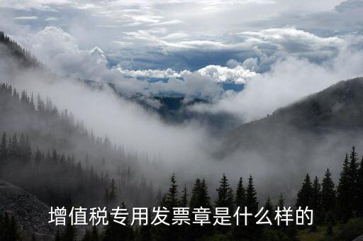 發(fā)票專用章什么樣子，增值稅專用發(fā)票章是什么樣的