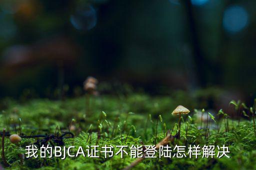 為什么ca證書不能登錄，我的BJCA證書不能登陸怎樣解決