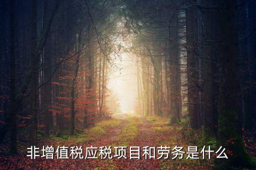 什么是非增值稅應(yīng)勞務(wù)，什么是非增值稅應(yīng)稅勞務(wù)希望懂的朋友能夠說得通俗易懂點(diǎn)或是舉