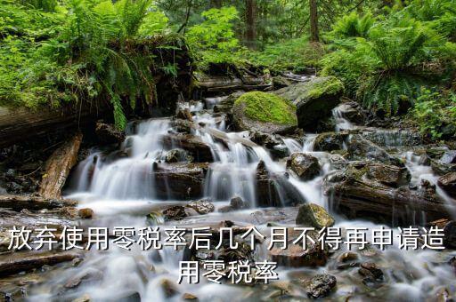 為什么放棄零稅率，出口應(yīng)稅服務(wù)為什么放棄增值稅零稅率