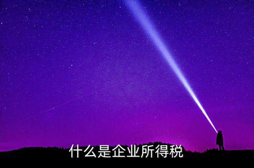 什么是公司所得稅，企業(yè)所得稅是什么意思