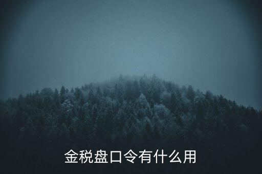 報(bào)稅數(shù)字證書口令是什么，陜西天暢偉業(yè)的網(wǎng)上報(bào)稅系統(tǒng)的登錄口令是什么