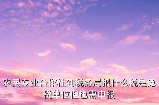 農(nóng)村合作社交什么稅，農(nóng)民合作社每個(gè)月要申報(bào)什么稅