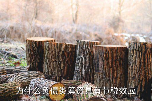 什么是節(jié)稅，為什么負(fù)債類籌資具有節(jié)稅效應(yīng)