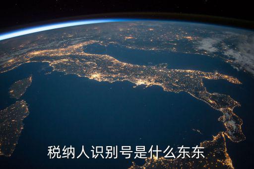 企業(yè)稅務(wù)識(shí)別號(hào)是什么意思，稅納人識(shí)別號(hào)是什么東東