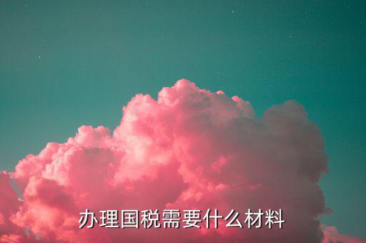 國稅局交稅要什么證件，辦理國稅需要什么材料