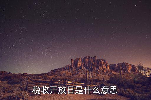 國(guó)稅開(kāi)放日是什么意思，稅收開(kāi)放日是什么意思