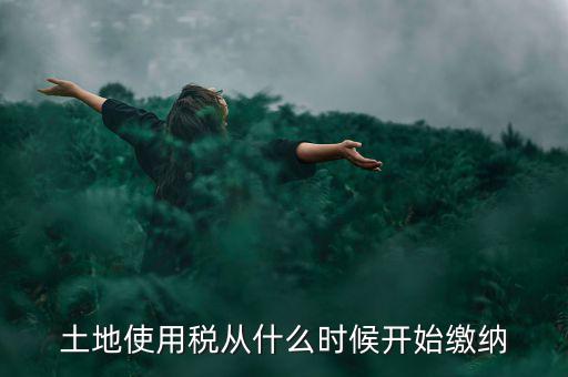 城鎮(zhèn)土地使用稅什么時(shí)候交，房地產(chǎn)開發(fā)企業(yè)繳納城鎮(zhèn)土地使用稅的時(shí)間是多久