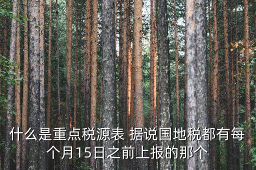 稅源監(jiān)控表是什么，股東股權(quán)變更稅源監(jiān)控登記表怎么填寫