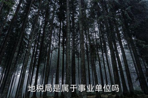 地稅屬于什么單位，地稅局是屬于事業(yè)單位嗎