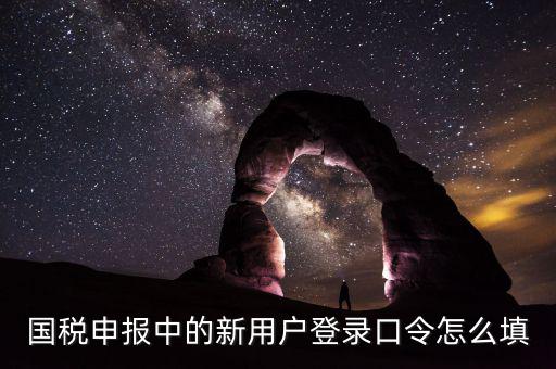 國稅用戶口令是什么，我想問下國家稅務(wù)網(wǎng)上申報點擊安全登錄時出現(xiàn)的用戶口令是什么