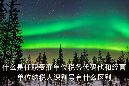 報(bào)稅自然人識(shí)別號(hào)是什么，個(gè)稅申報(bào)顯示存在相同唯一識(shí)別號(hào)是什么意思