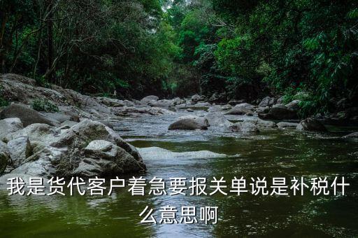 我是貨代客戶(hù)著急要報(bào)關(guān)單說(shuō)是補(bǔ)稅什么意思啊
