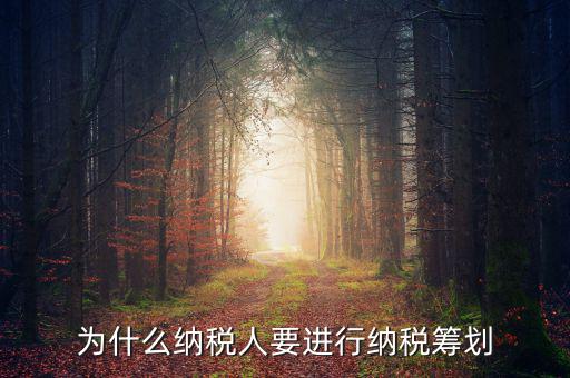為什么要進(jìn)行稅收規(guī)劃，為什么納稅人要進(jìn)行納稅籌劃
