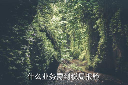 什么是稅務(wù)報驗，地稅發(fā)票報驗是什么回事啊 怎么報驗什么時候報驗啊