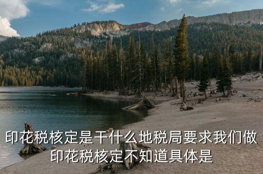 印花稅核定依據填什么意思，核定征收印花稅計稅依據