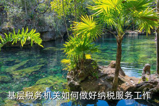 納稅服務是指什么，納稅服務的三個主體是什么