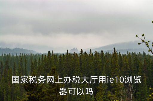 國稅網(wǎng)上申報用什么瀏覽器，山東國稅網(wǎng)上申報系統(tǒng)需要什么瀏覽器