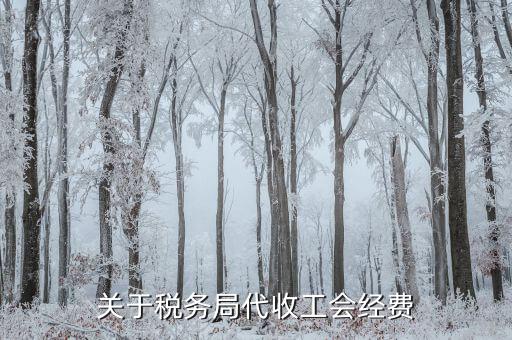 工會經(jīng)費(fèi)稅務(wù)代收是什么，請問北京稅務(wù)代收工會經(jīng)費(fèi)繳費(fèi)是按月還是按季度繳