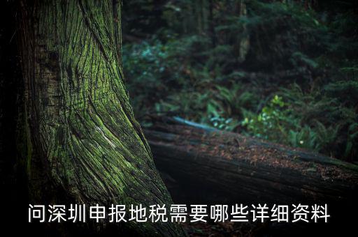 深圳市的地稅申報是什么，深圳市地稅怎么申報