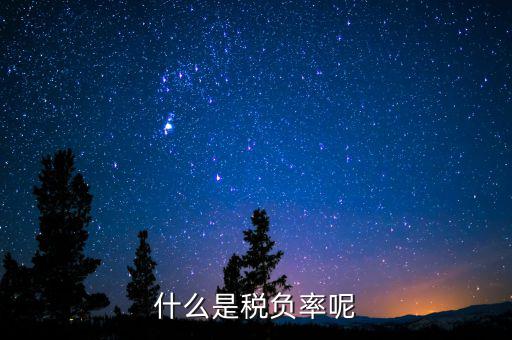 什么是beps，中國銀行網上銀行轉賬錯誤代碼BEPSE026是什么意思