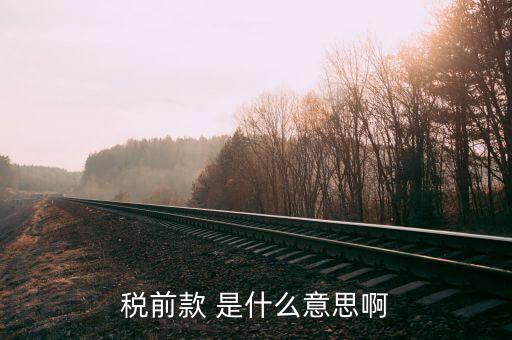 什么是稅前項目費，稅前款 是什么意思啊