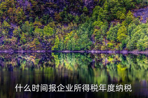 什么時間報(bào)企業(yè)所得稅年度納稅