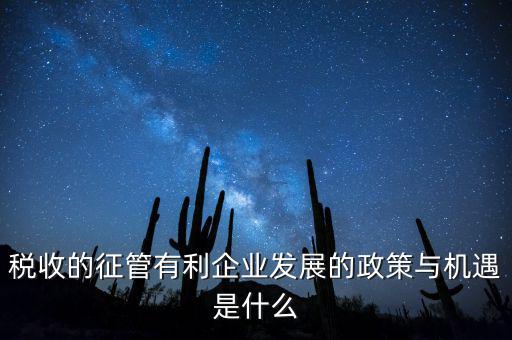 什么是大征管，海關的稅收征管是做什么的
