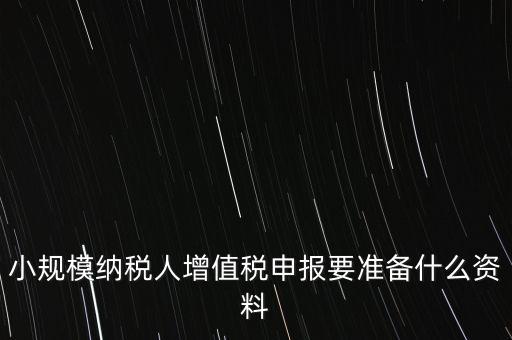 小規(guī)模報(bào)稅需要帶什么，小規(guī)模納稅人增值稅申報(bào)要準(zhǔn)備什么資料