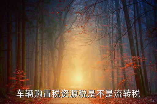 資源稅改革是什么，資源稅是地稅還是國稅