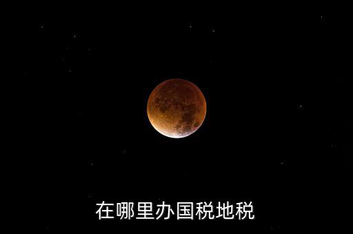 什么在地稅辦，在哪里辦國稅地稅