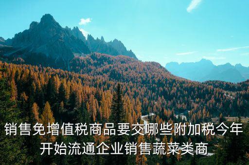 免稅商品銷售要交什么稅，銷售免增值稅商品要交哪些附加稅今年開始流通企業(yè)銷售蔬菜類商