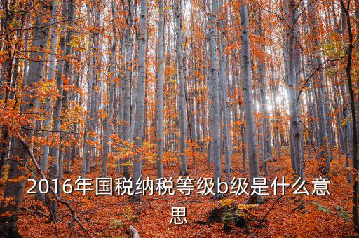 納稅信用等級評 什么用，企業(yè)納稅信用等級有何用處