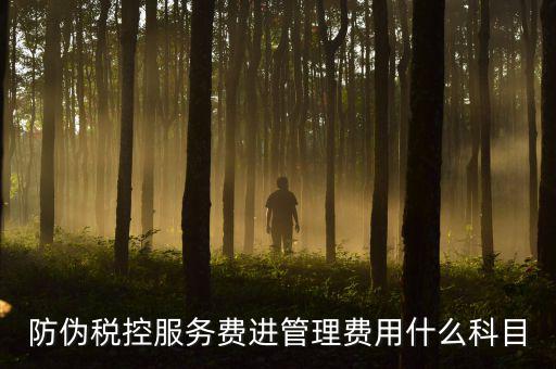 防偽稅控服務(wù)費(fèi)是什么意思，繳納電子鑰匙的年費(fèi)是防偽稅控服務(wù)費(fèi)嗎