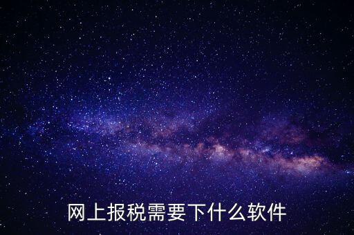 報國稅都安裝什么軟件，網(wǎng)上報稅需要下什么軟件